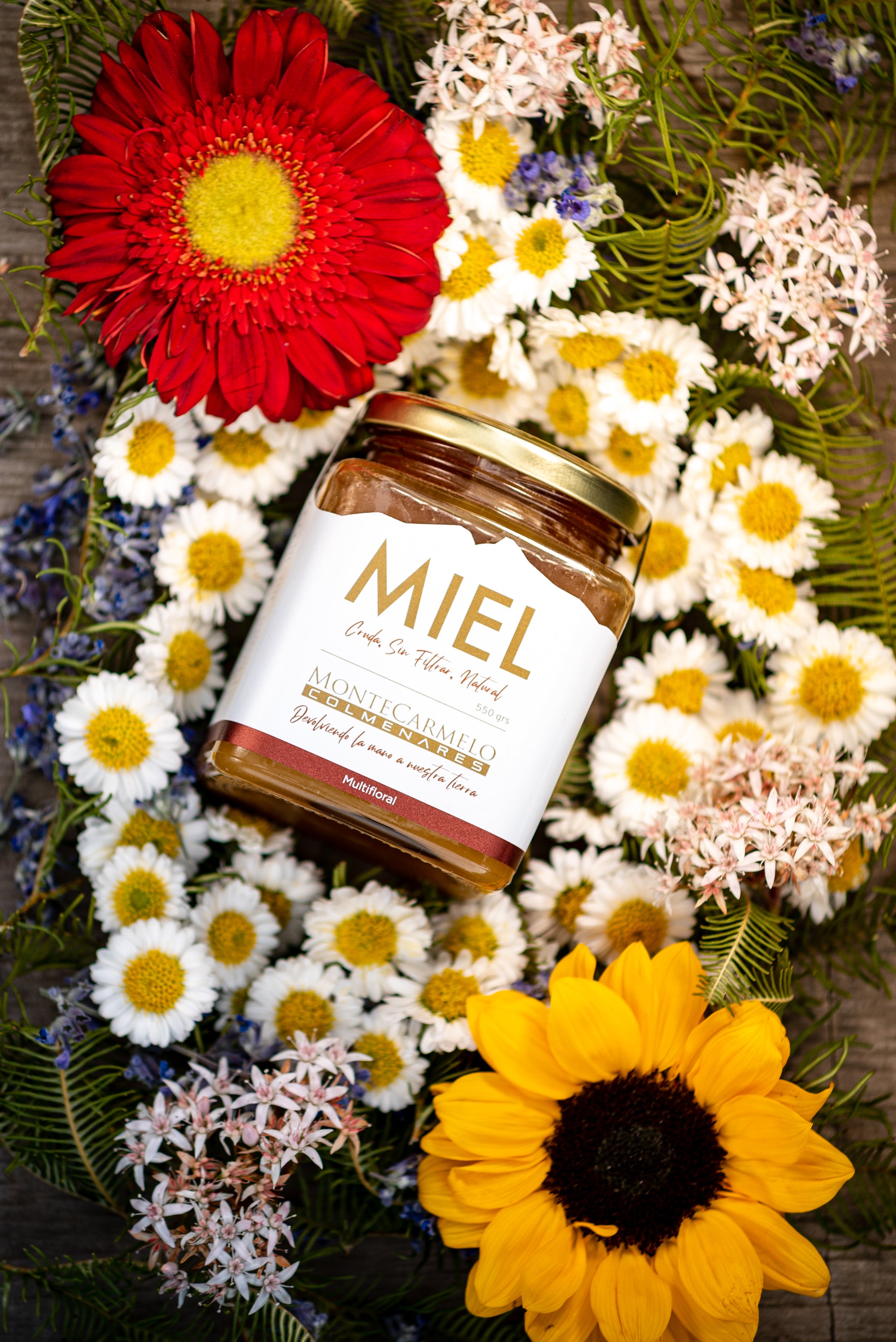 Activa tu cuerpo, protege tu salud y transforma tu cocina