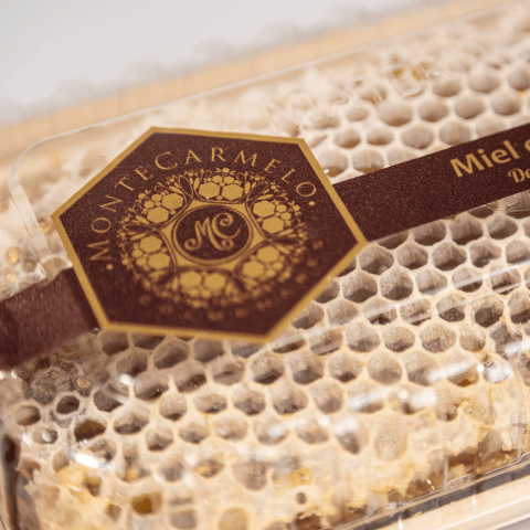 Antioxidantes, propiedades cicatrizantes, vitaminas, minerales y refuerzo inmunológico