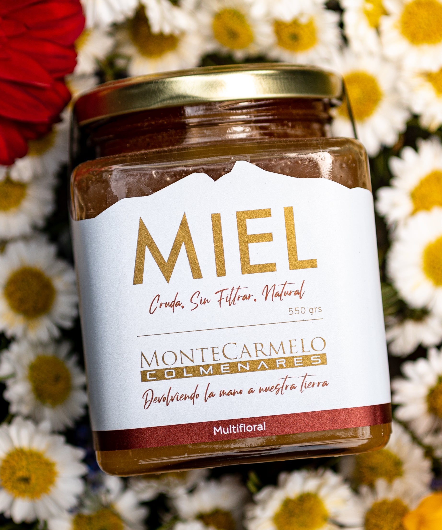 Activa tu cuerpo, protege tu salud y transforma tu cocina