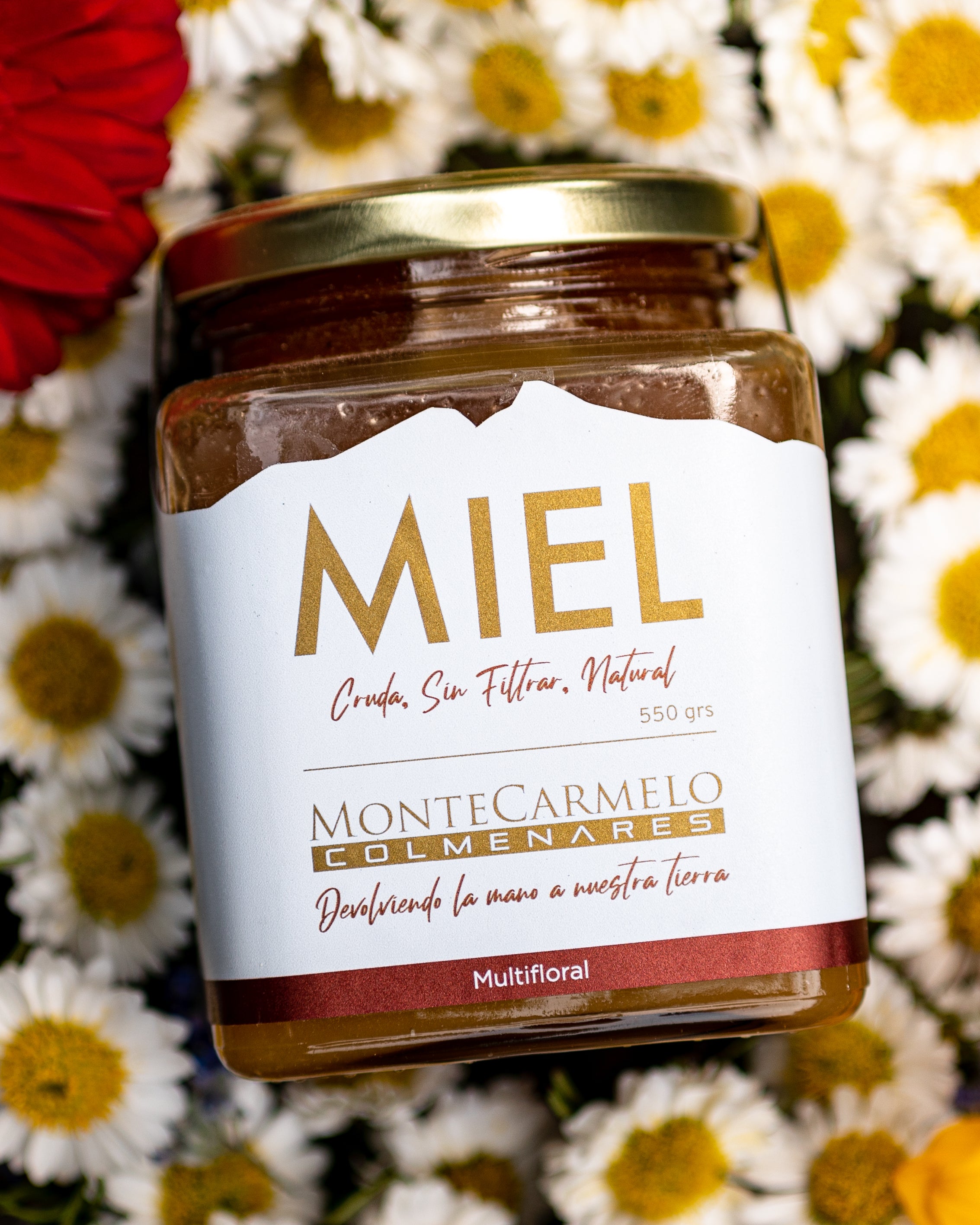 Activa tu cuerpo, protege tu salud y transforma tu cocina